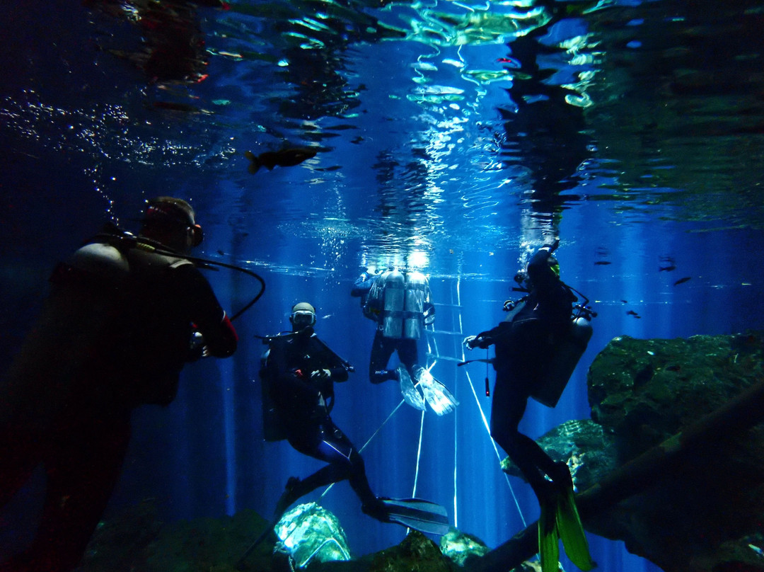 Dive Cenotes Mexico-艾库玛尔必去景点