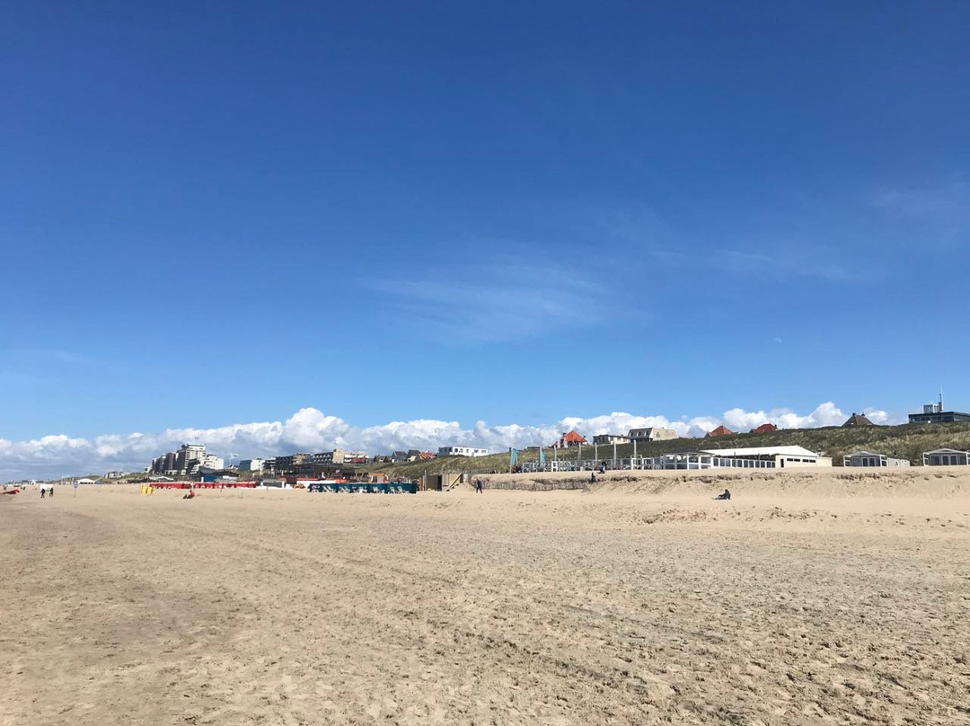 Honden strand Noordwijk-诺德韦克必去景点