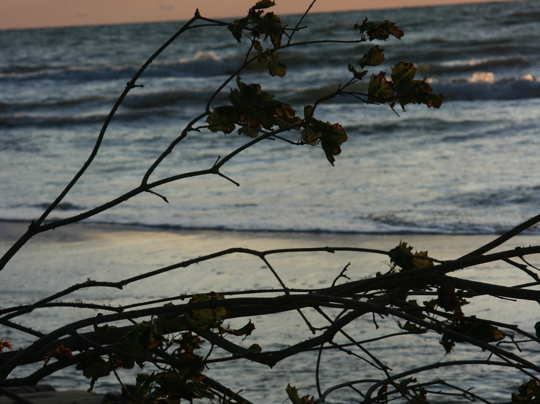 Liedags Guesthouse主图