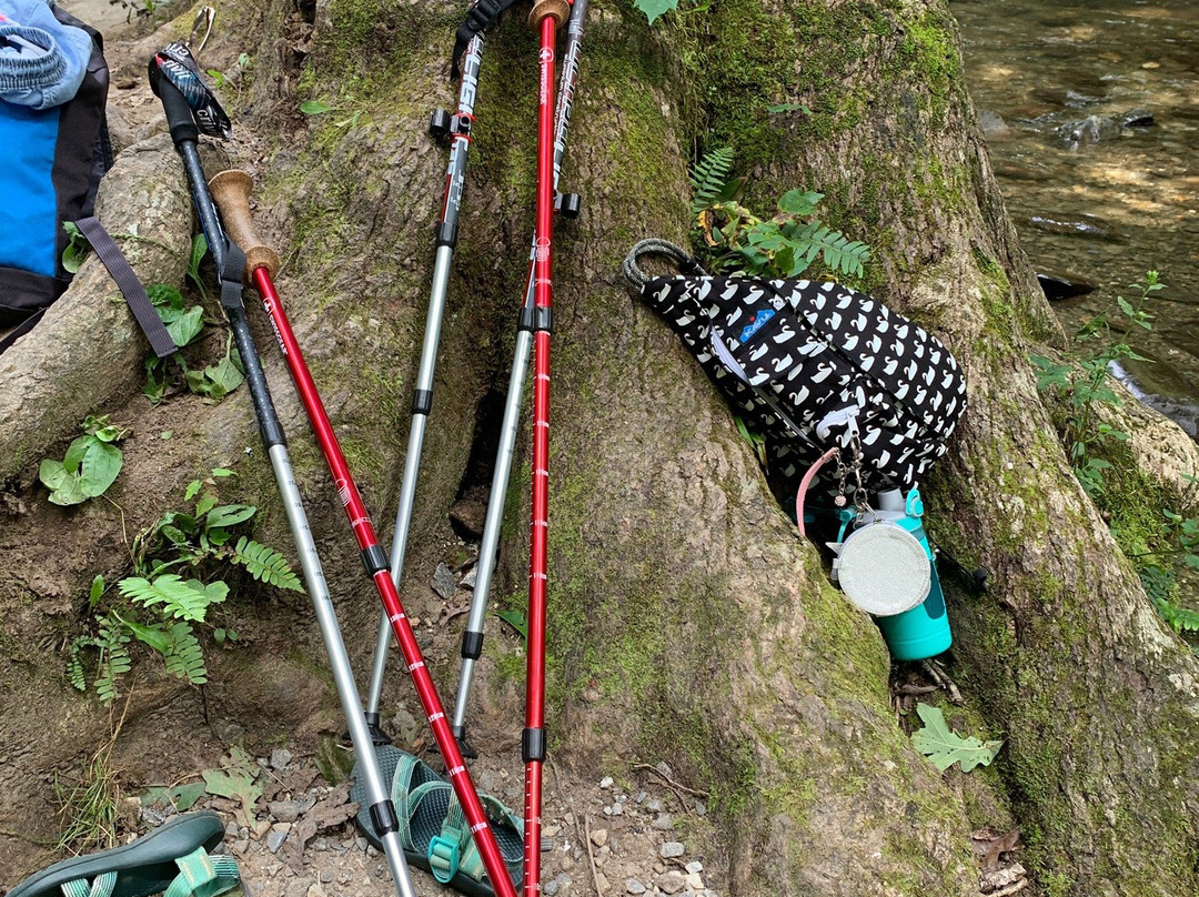 Tom Branch Falls-大雾山国家公园必去景点