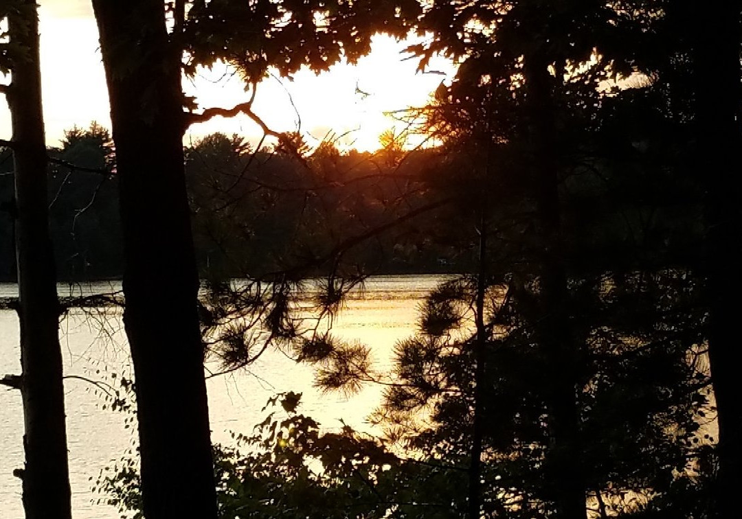 Arbor Vitae Motel主图