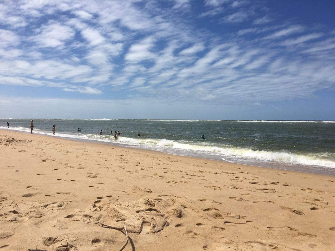 Praia do Gunga景点图片