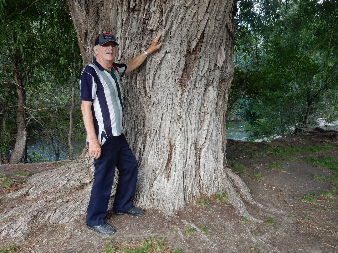 Riverside Park-萨利达必去景点