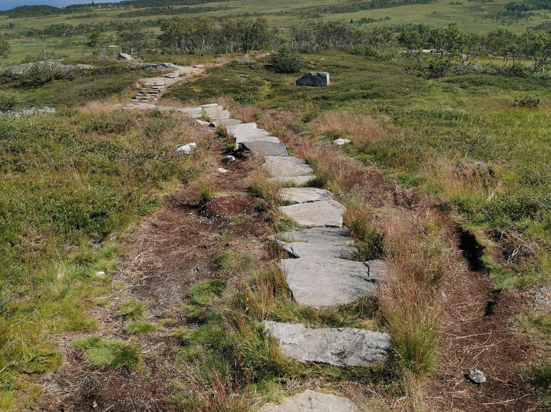 Falkenuten HIke景点图片