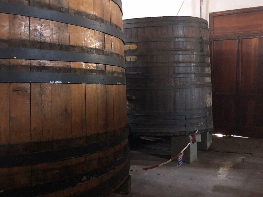 Antigua Bodega Giol-Maipu必去景点