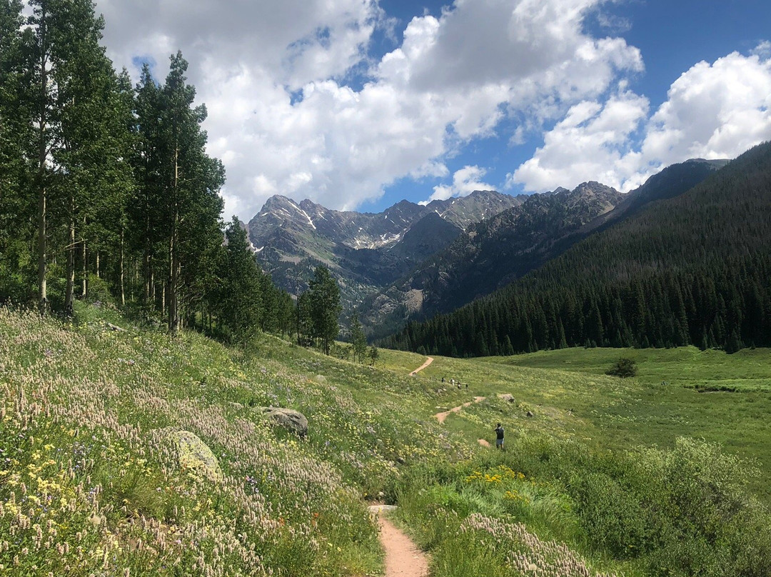 Piney River Trail (Upper)-韦尔必去景点