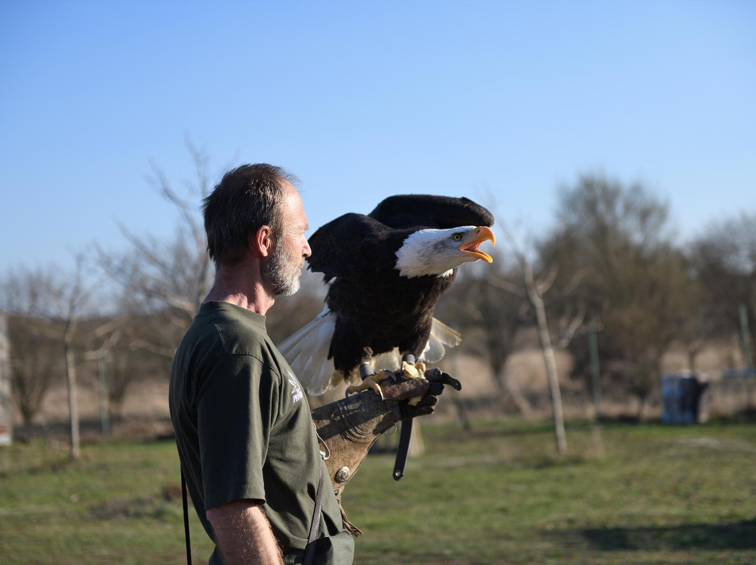Penthea.org-布拉格必去景点