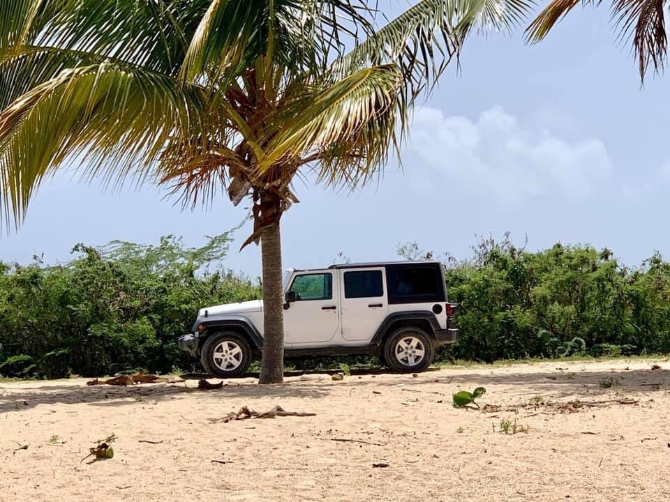 Vieques UTV Rental景点图片