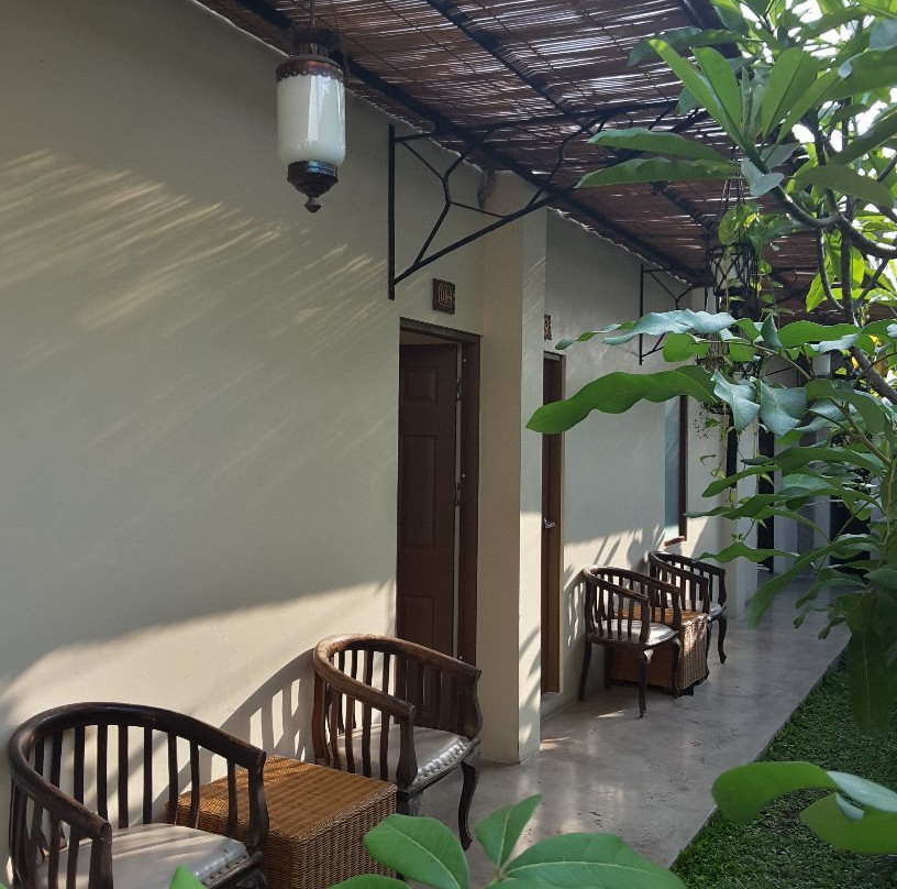 Bumijo旅游攻略图片