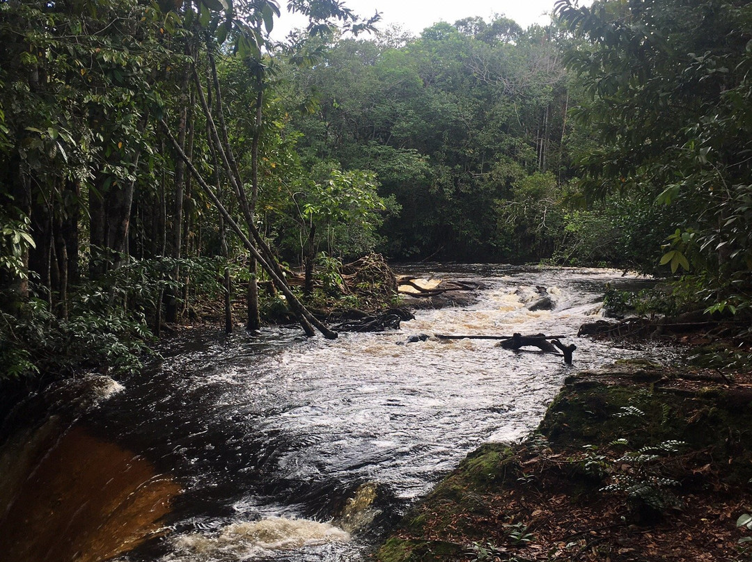 Cachoeira das Araras景点图片