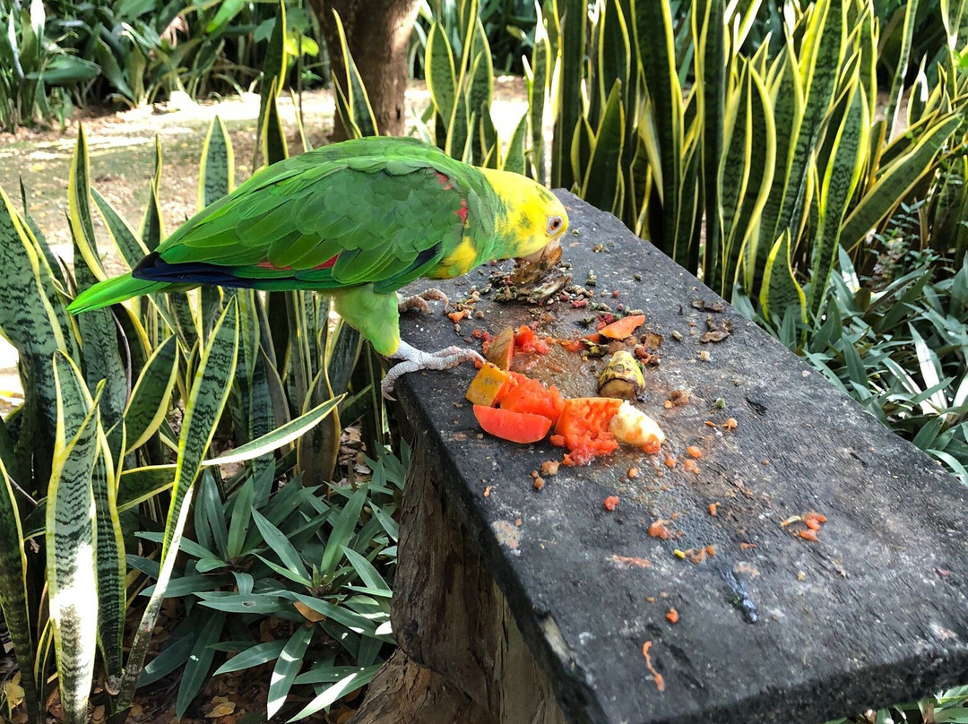 Choco Story-乌科斯玛必去景点