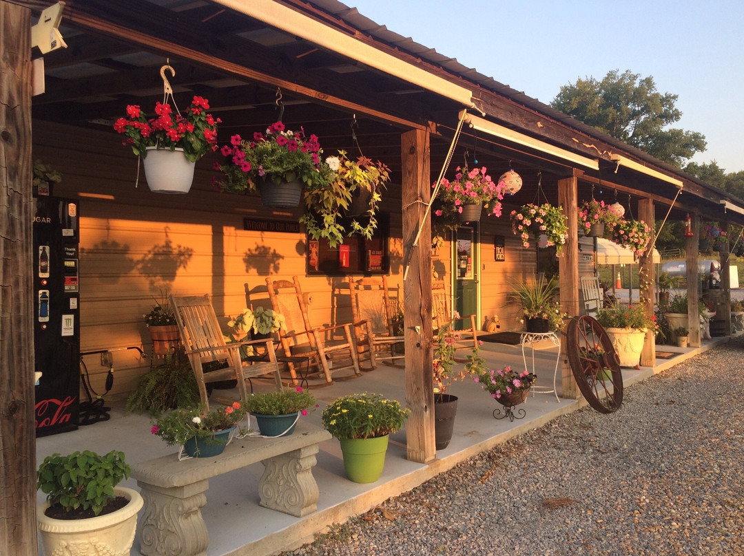 Montgomery South RV Park & Cabins