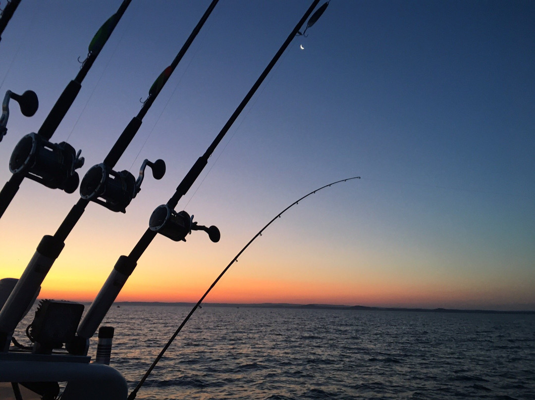 Michigan Sport Fishing Company, LLC景点图片