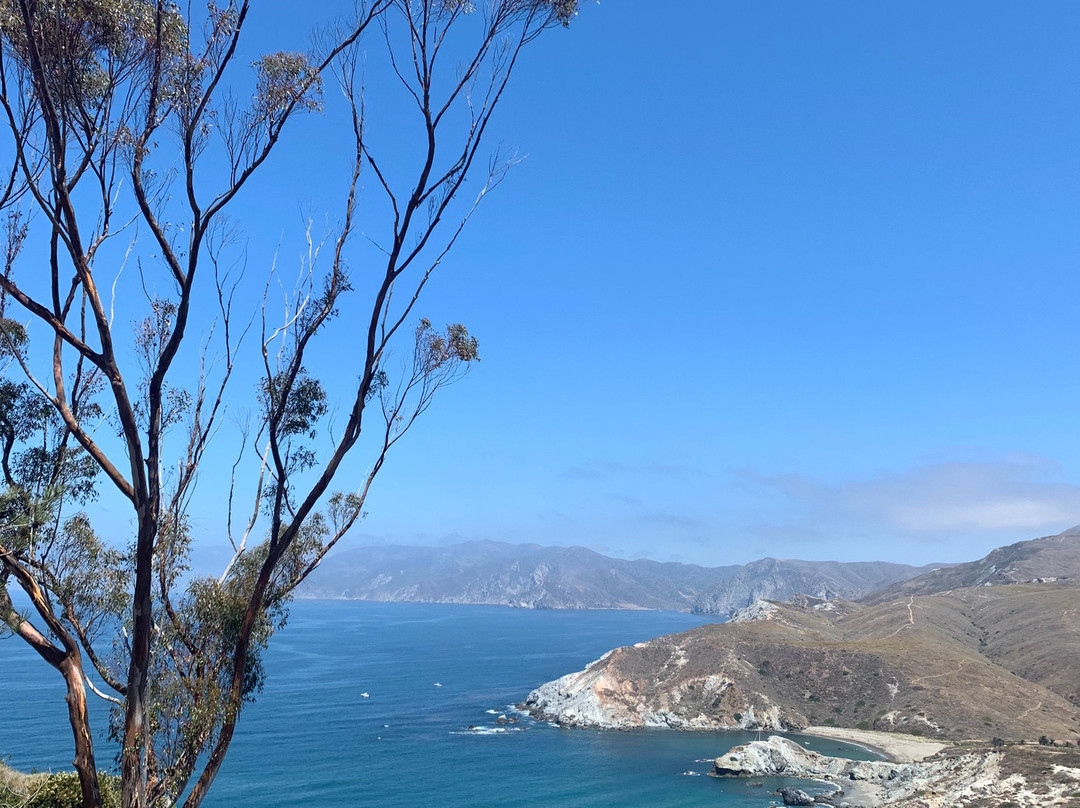 Catalina Island Conservancy景点图片