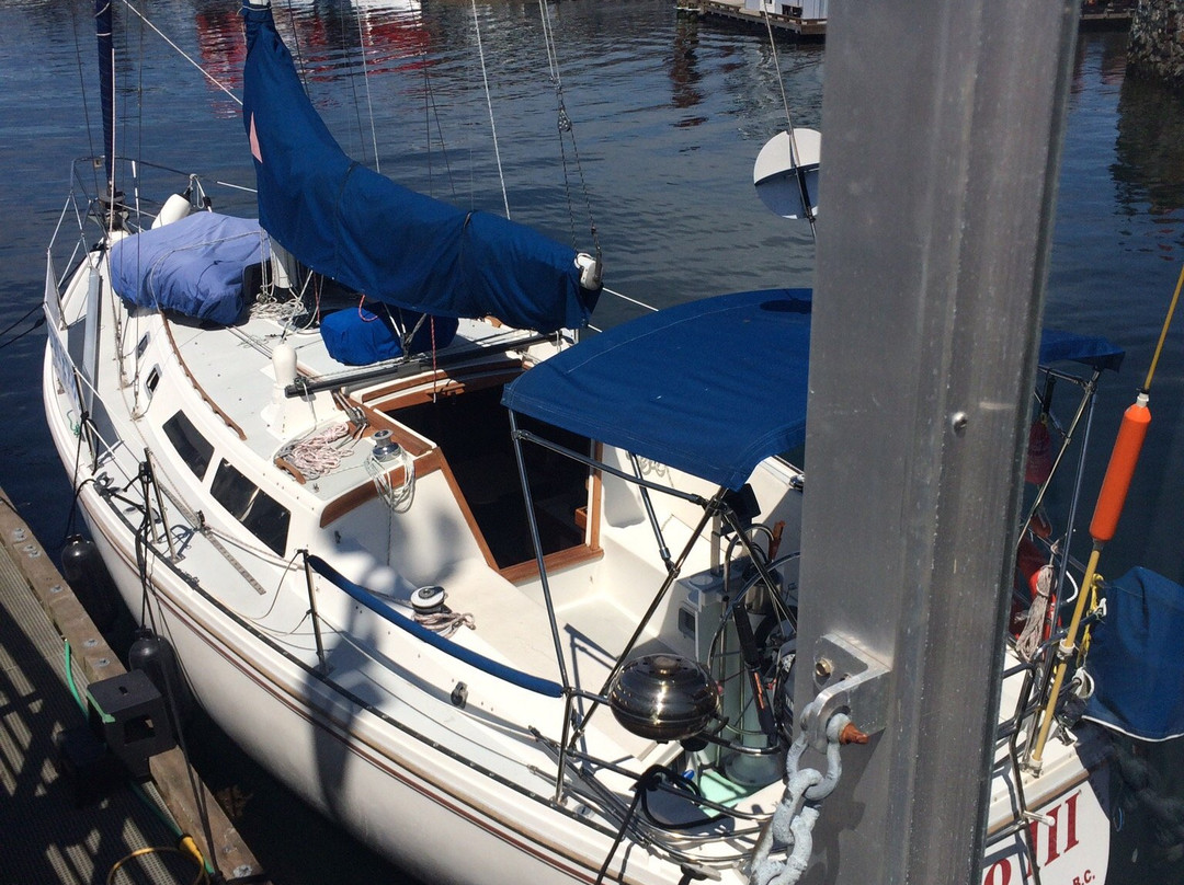 Big Blue Sailing景点图片