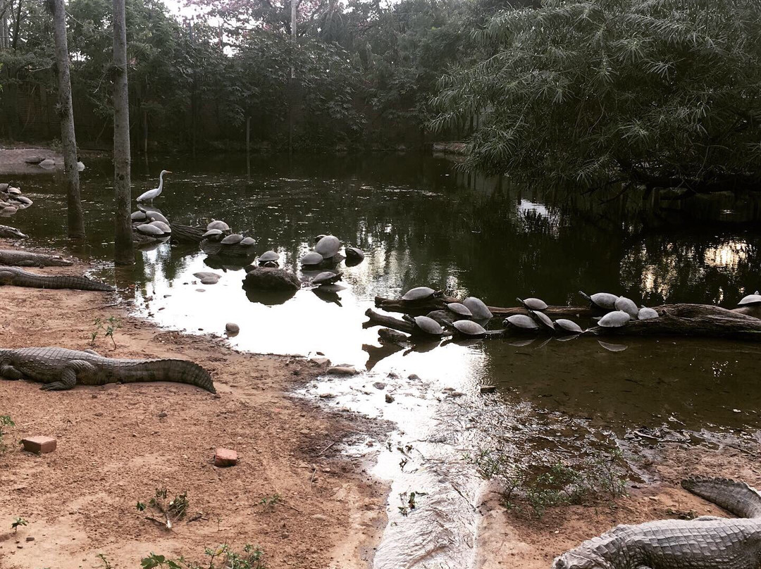 Parque Nacional Noel Kempff Mercado-圣克鲁斯省必去景点