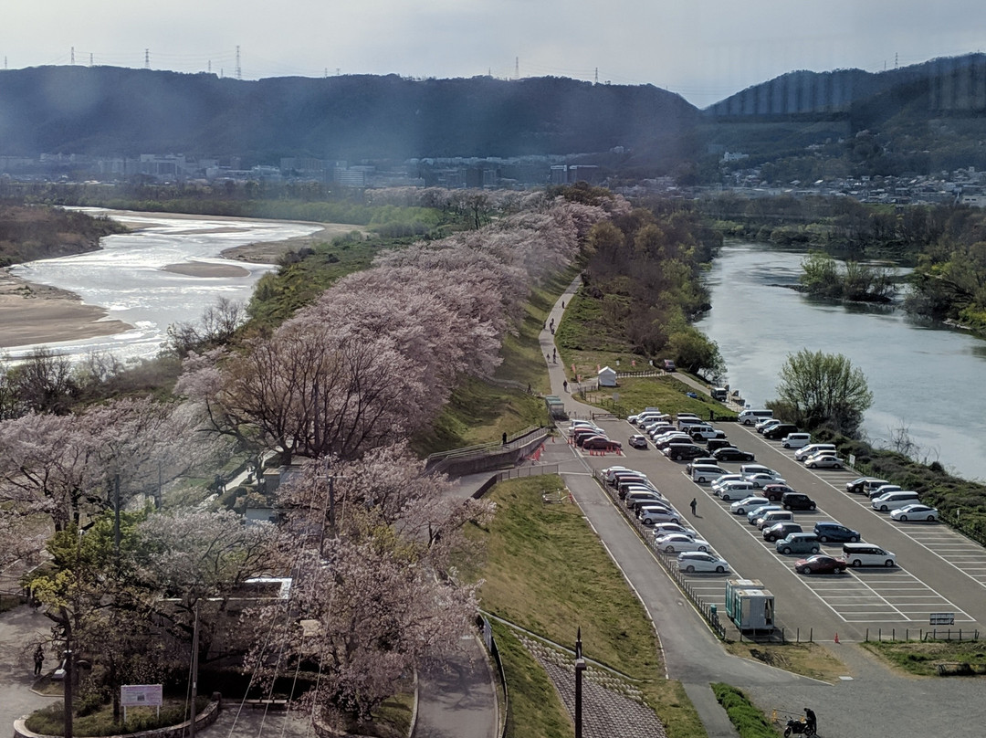 Sakuradeaikan-八幡市必去景点
