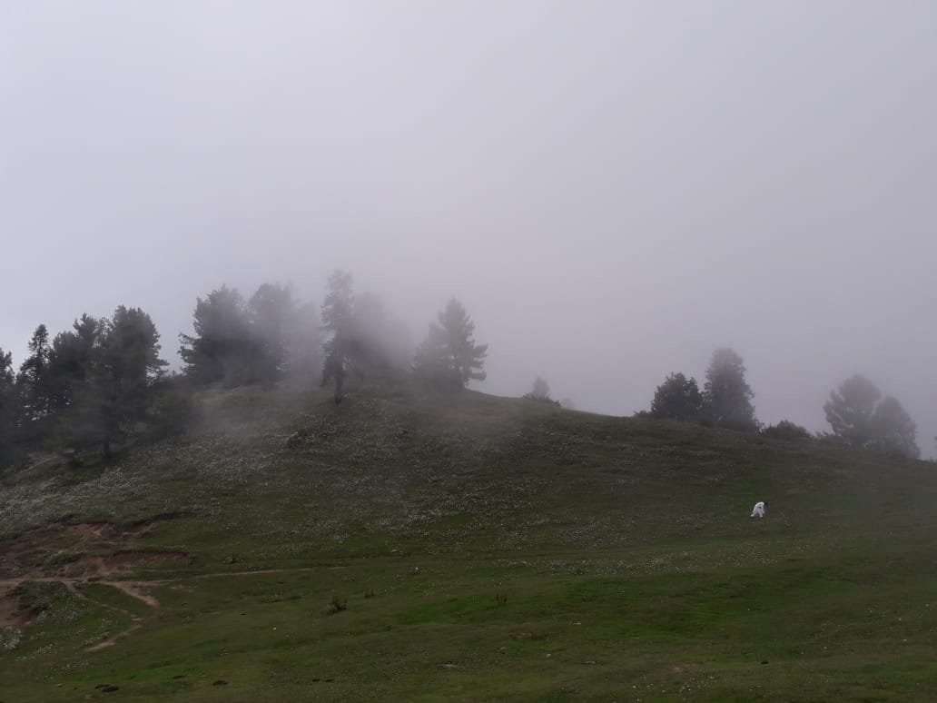 Mushkpuri Top-Abbotabad必去景点