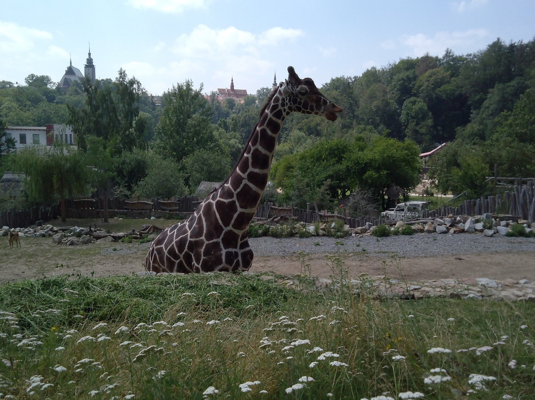 Zoo Jihlava-伊赫拉瓦必去景点