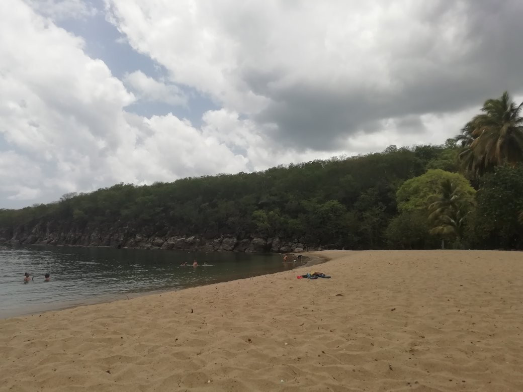 Plage de Petite Anse-Bouillante必去景点