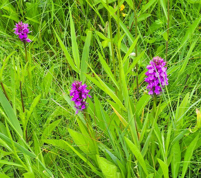 Messingham Sand Quarry-Messingham必去景点