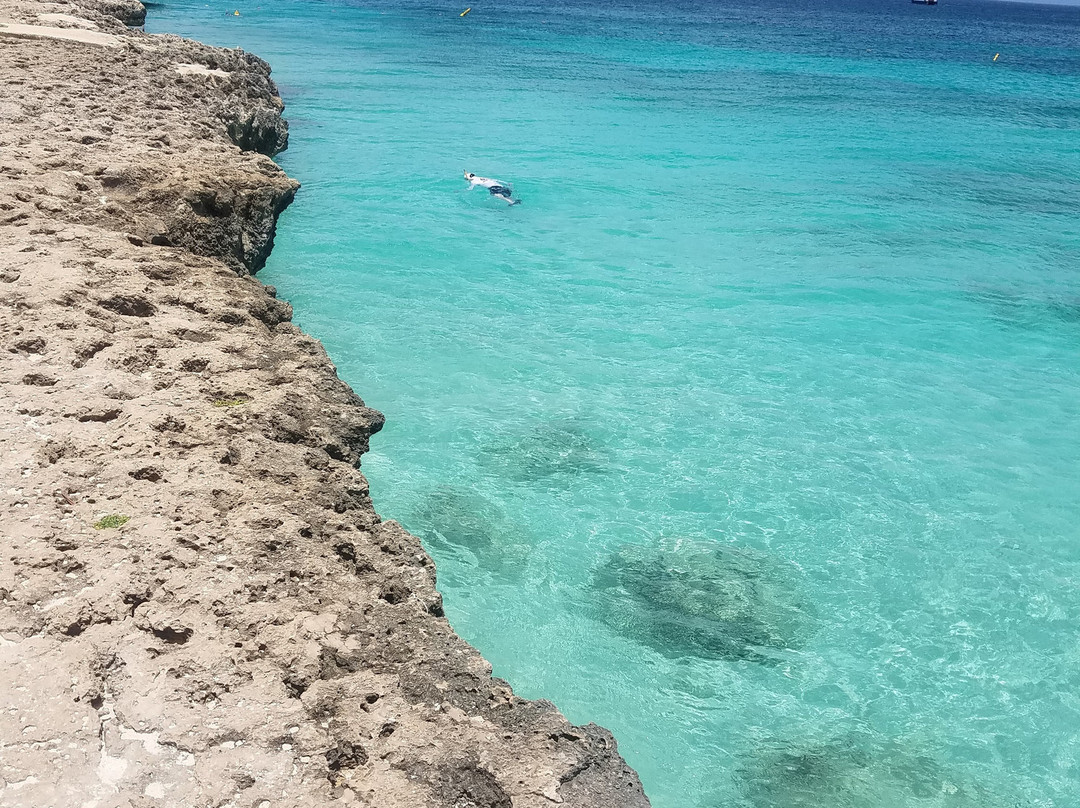 Malmok Beach旅游攻略图片