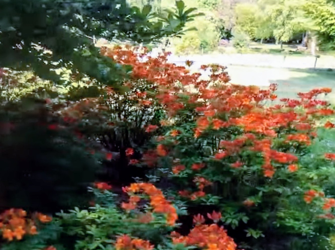Rosengarten-Elmshorn必去景点