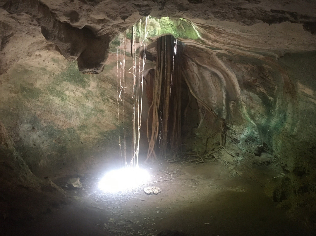 Cueva de Ambrosio景点图片