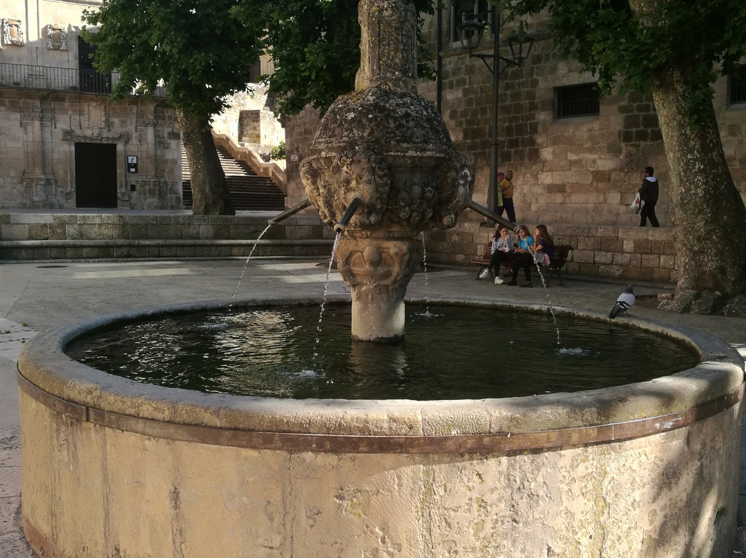 Fuente de los Chorros