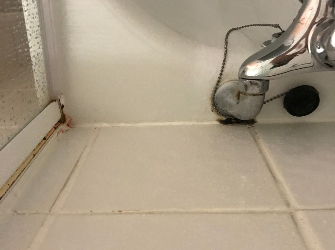 Lansdowne Hotel主图