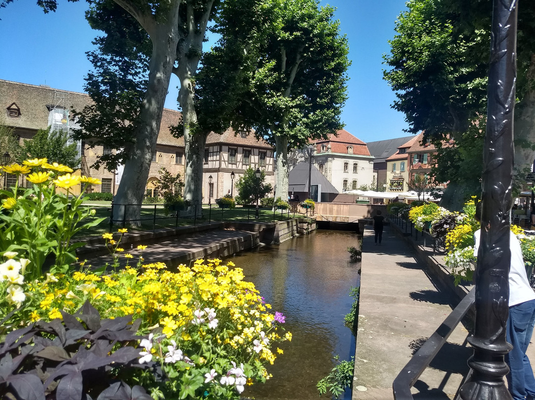 Cycl'Hop-奥贝奈必去景点