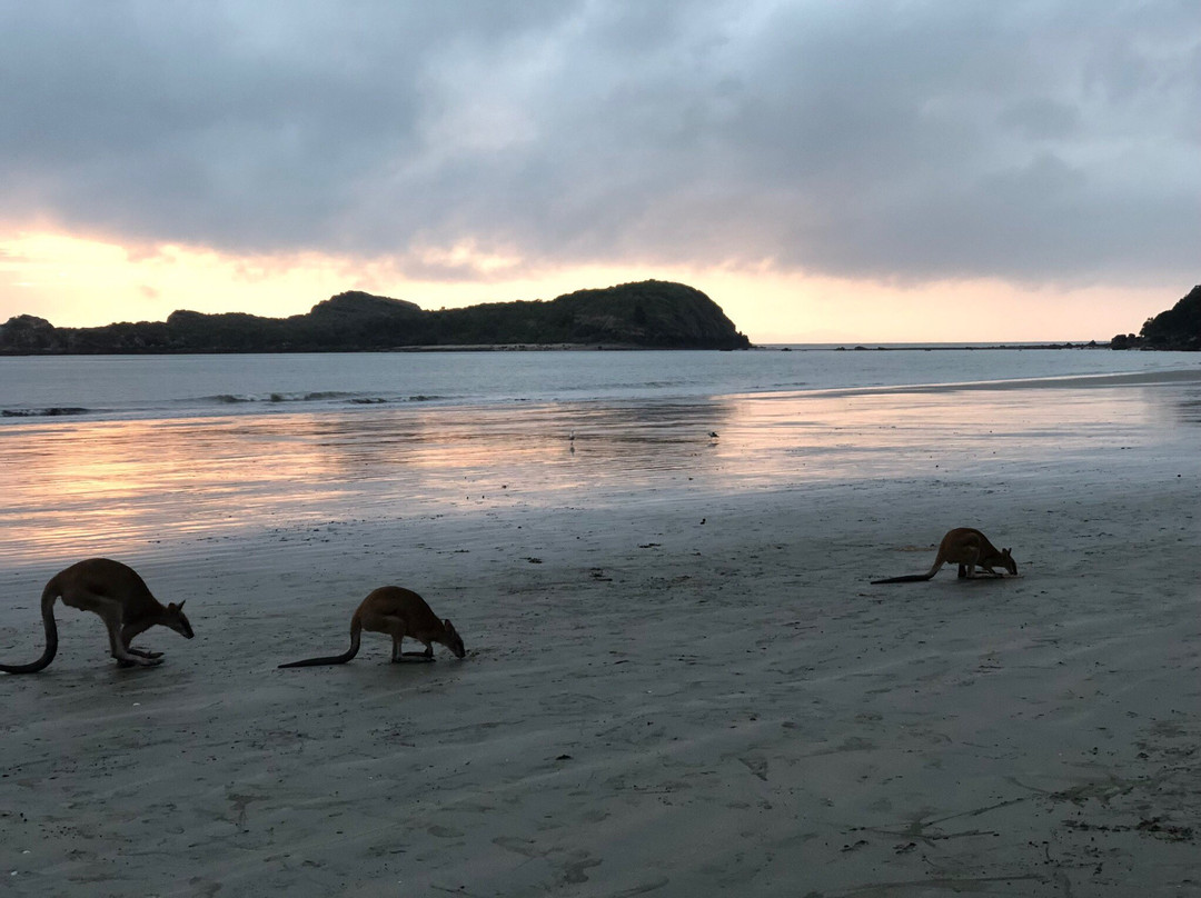 Mackay Region Visitor Information Centre Tours-Cape Hillsborough必去景点