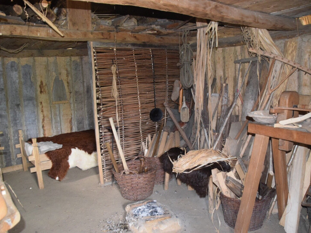 Wikinger Museum Haithabu景点图片