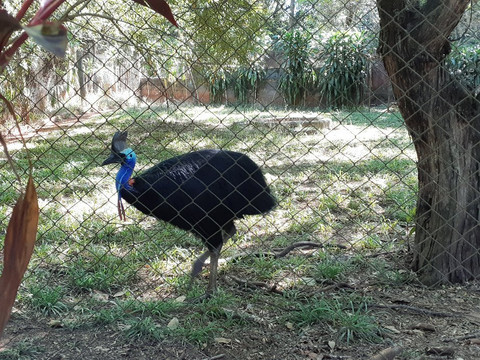 Zoologico Municipal de Sao Jose do Rio Preto-普雷图河畔圣若泽必去景点