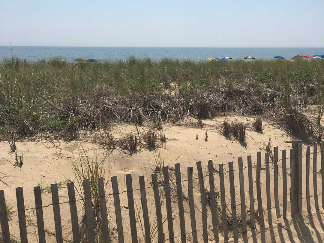 Dune Nature Park-里霍博斯比奇必去景点