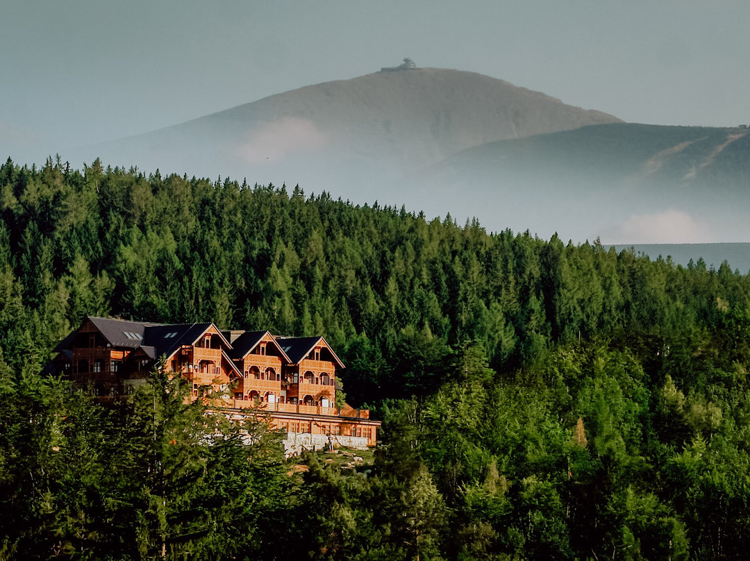 Hotel Seidorf