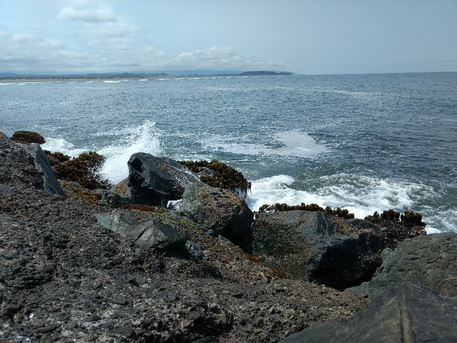 Humboldt Bay景点图片