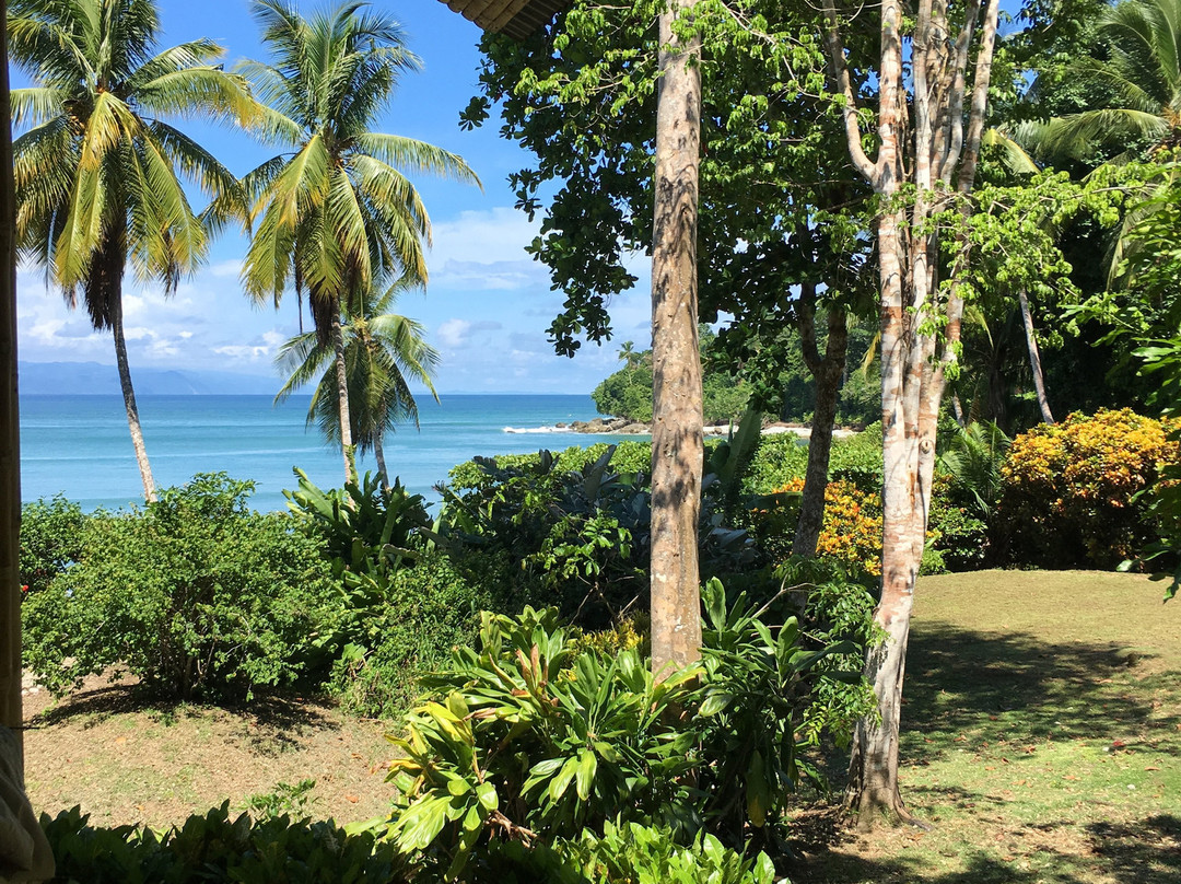 Casa Bambu Beach Resort主图