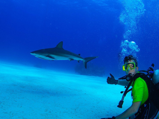 Grand Bahama Scuba-弗里波特必去景点