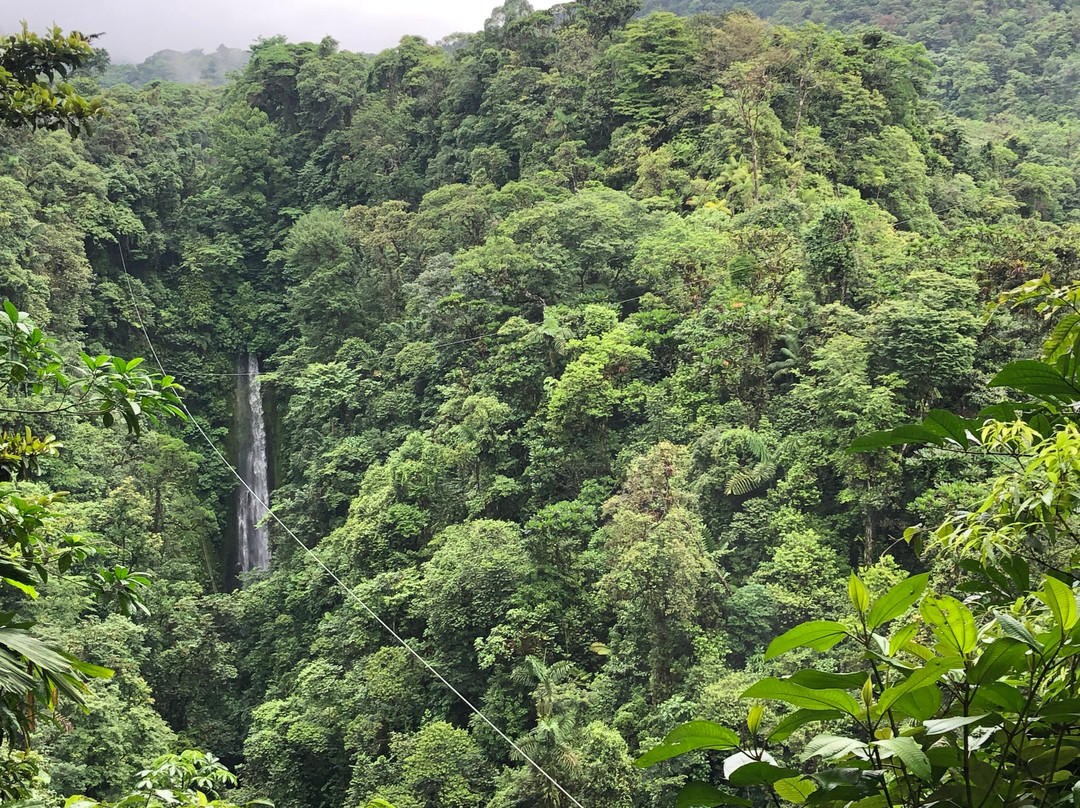 Costa Rica Experience景点图片