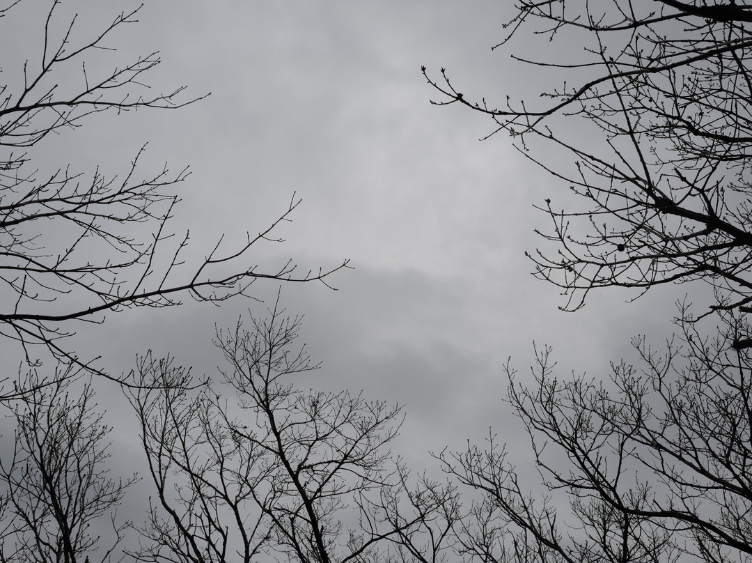Yumyeongsan Mountain-杨平郡必去景点