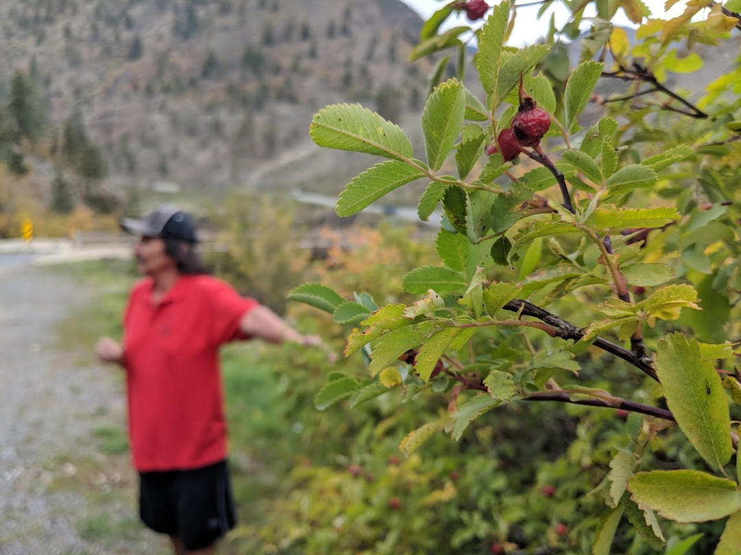 Xwisten Experience Tours-Lillooet必去景点