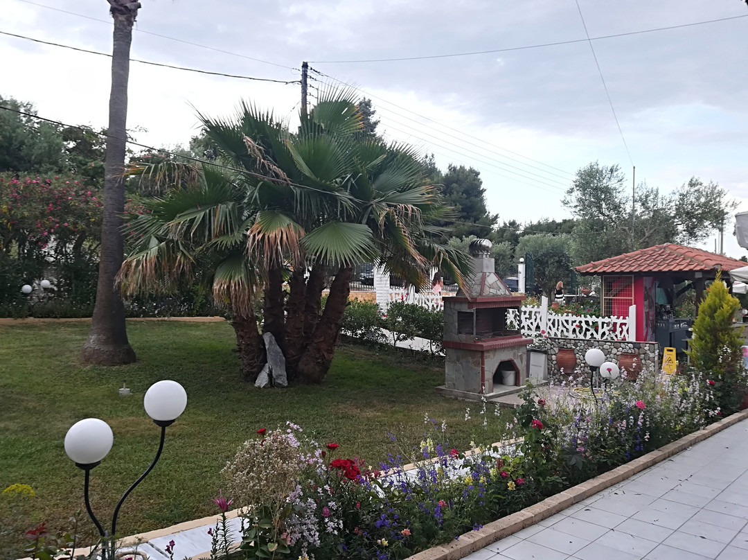 Olympic Bibis Hotel主图