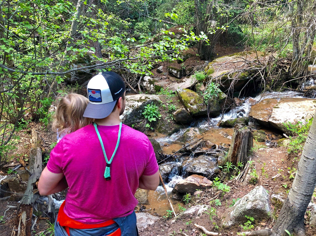 Maxwell Falls-Evergreen必去景点