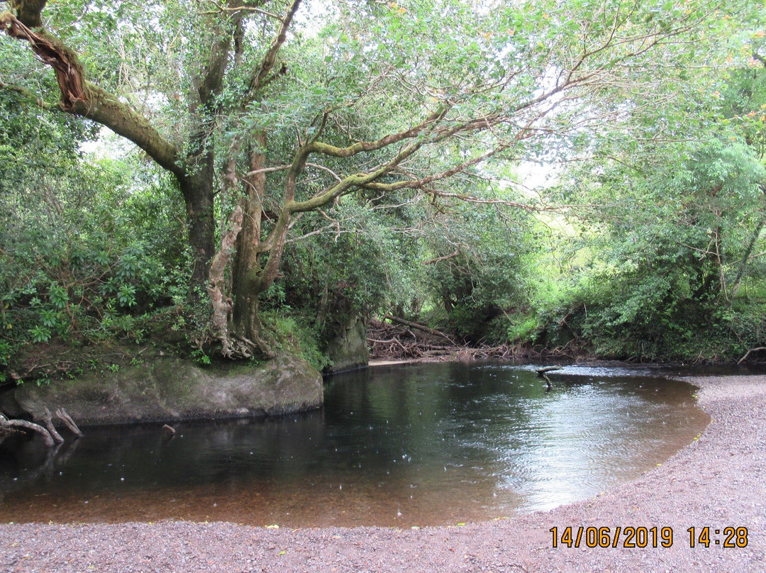 Glengariff Woods景点图片