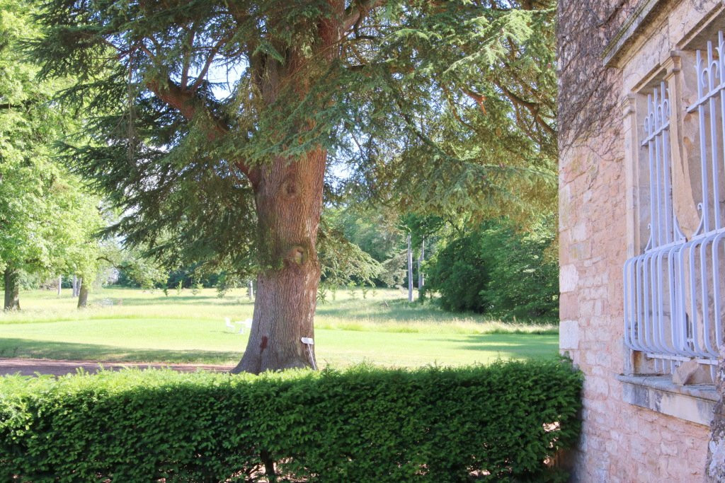 Chateau de Bresse sur Grosne主图