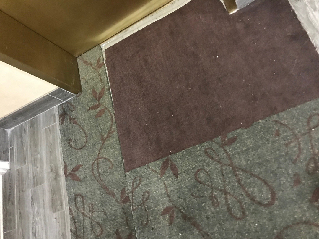 Comfort Suites Olive Branch West主图