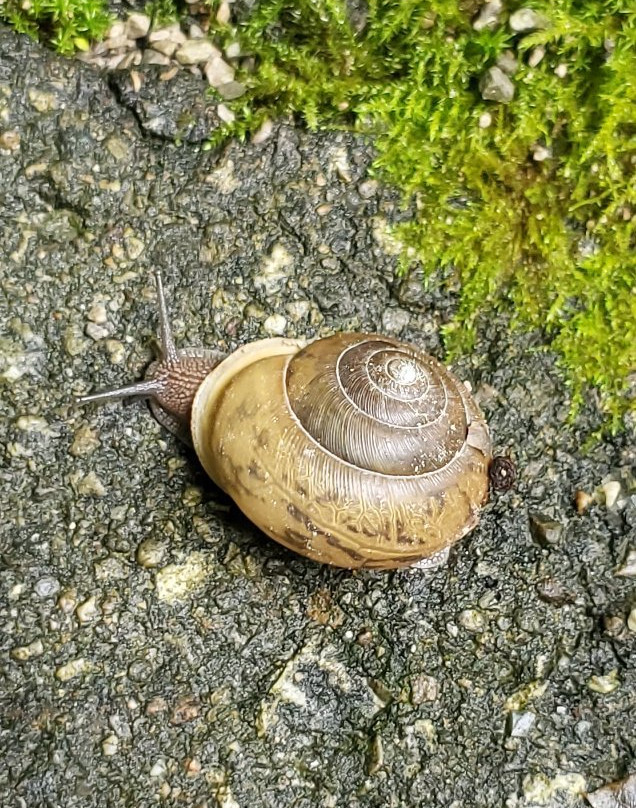 Deer Haven Preserve-Delaware必去景点