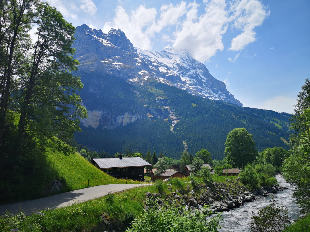 Grindelwald Tourism景点图片