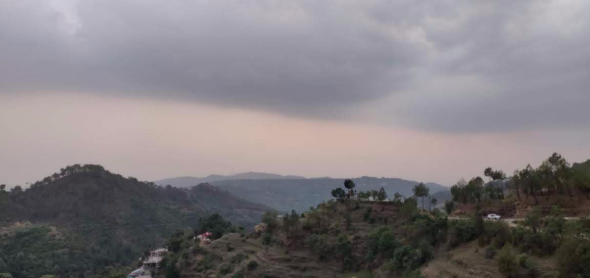 Little Chilli Shimla-酒店景观